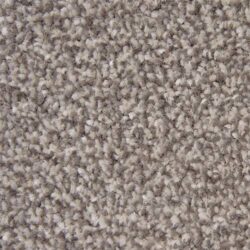 Abingdon Flooring Stainfree Style Latte
