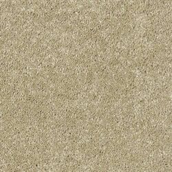 Abingdon Flooring Stainfree Sophisticat Latte
