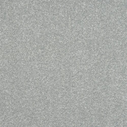 Abingdon Flooring Stainfree Ultra Ice Dance