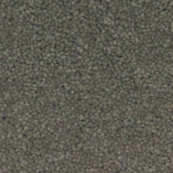 Brintons Bell Twist Moonstone