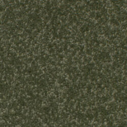 Brintons Bell Twist Scottish Pine