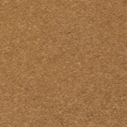 Brintons The Velvet Collection Diana Fawn