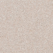 Brockway Solar Flax