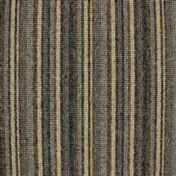 Telenzo Bakerloo Queens Park