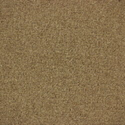 Telenzo Centre Point Biscuit