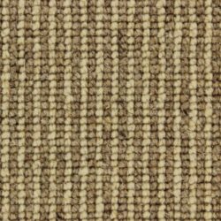 Telenzo Mainline Oxford Circus