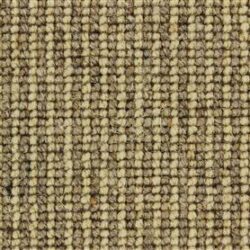 Telenzo Mainline St Paul's