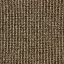 Telenzo Mainline Notting Hill