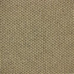 Telenzo Barbican Parchment