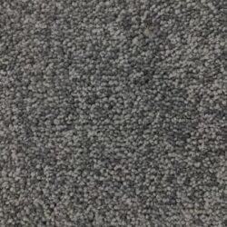 Cavalier Elixir Cassis