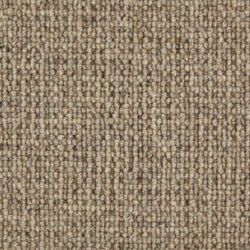 Telenzo Paddington Gravel