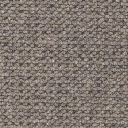 Cavalier Hawk Loop Buzzard