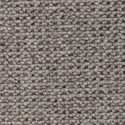 Cavalier Hawk Loop Kestrel