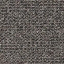 Cavalier Hawk Loop Perregrine