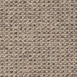 Cavalier Hawk Loop Falcon