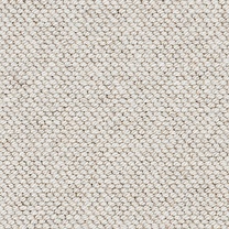 Brockway Beachcomber Seashell