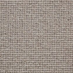 Telenzo Burford Bridge Chamois