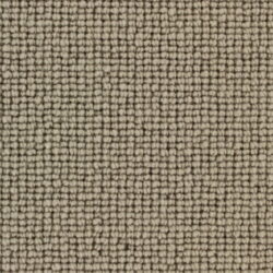 Telenzo Chelsea Putty