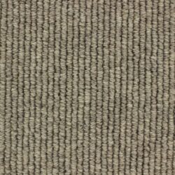 Telenzo Cormo Squirrel