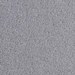 Cavalier Criterion Twist Coin