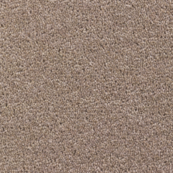 Cavalier Criterion Twist Donkey Stone