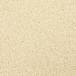 Cavalier Criterion Twist Butterscotch