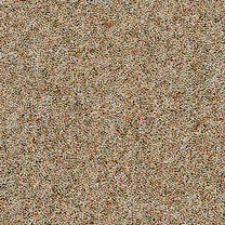 Brockway Dimensions Heathers 40 Camel