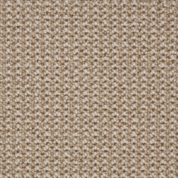 Telenzo Hoxton Shell Beach