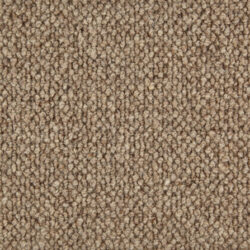 Telenzo King's Cross Foal