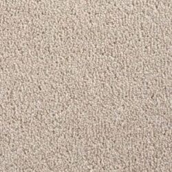 Cavalier Liberty Twist Koala