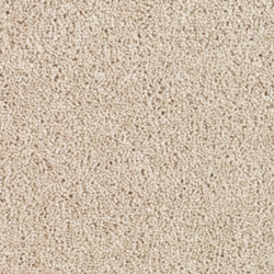 Cavalier Liberty Twist Oyster