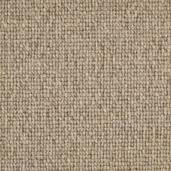 Telenzo London Bridge Chiton