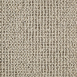 Telenzo Paddington Shrimp