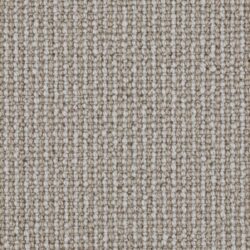 Telenzo Primrose Hill Sand Coast