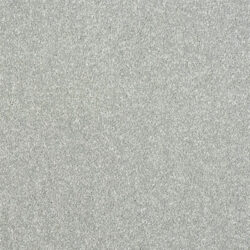 Abingdon Flooring Stainfree Maximus Smoke