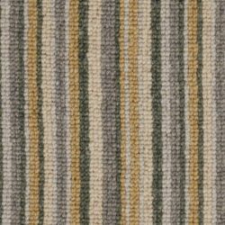 Telenzo Bakerloo Harrow