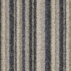 Telenzo Bakerloo Warwick Avenue