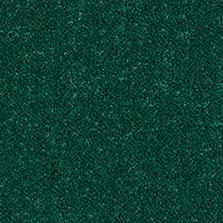 Westex Ultima Twist Angelica