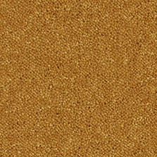 Westex Ultima Twist Antique Gold