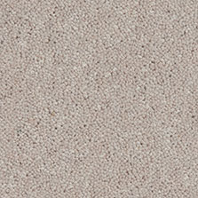 Westex Ultima Twist Biscuit