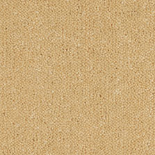 Westex Ultima Twist Dijon