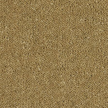 Westex Ultima Twist Eucalyptus