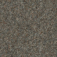 Westex Ultima Twist Fossil