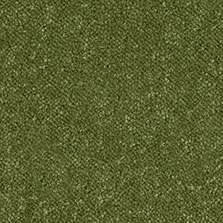 Westex Ultima Twist Olive Green