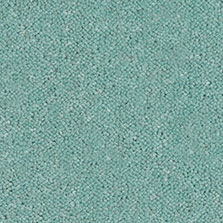 Westex Ultima Twist Spearmint