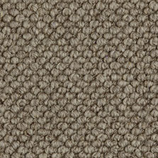 Westex Butterwick Wool Loop Koala