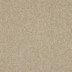 Abingdon Knightsbridge Berber Creamed Ash