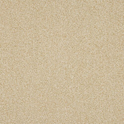 Abingdon Knightsbridge Berber Desert Fleece