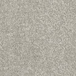 Cavalier Altitude Enclave