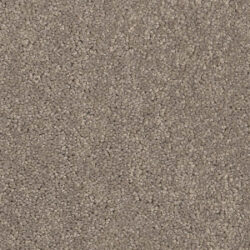 Cavalier Altitude Harcourt